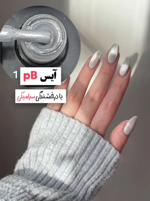 آیس پی بی